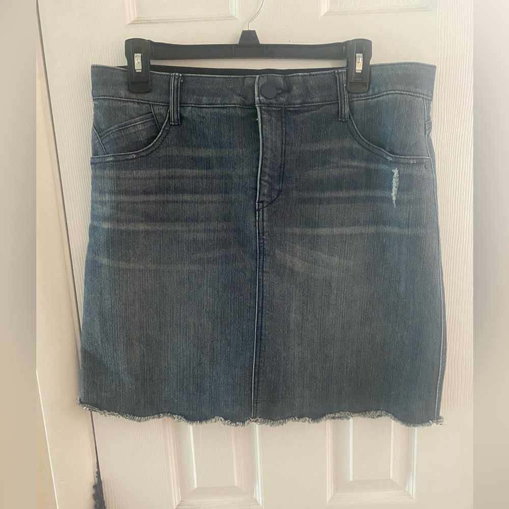 Democracy Absolution Denim Skirt